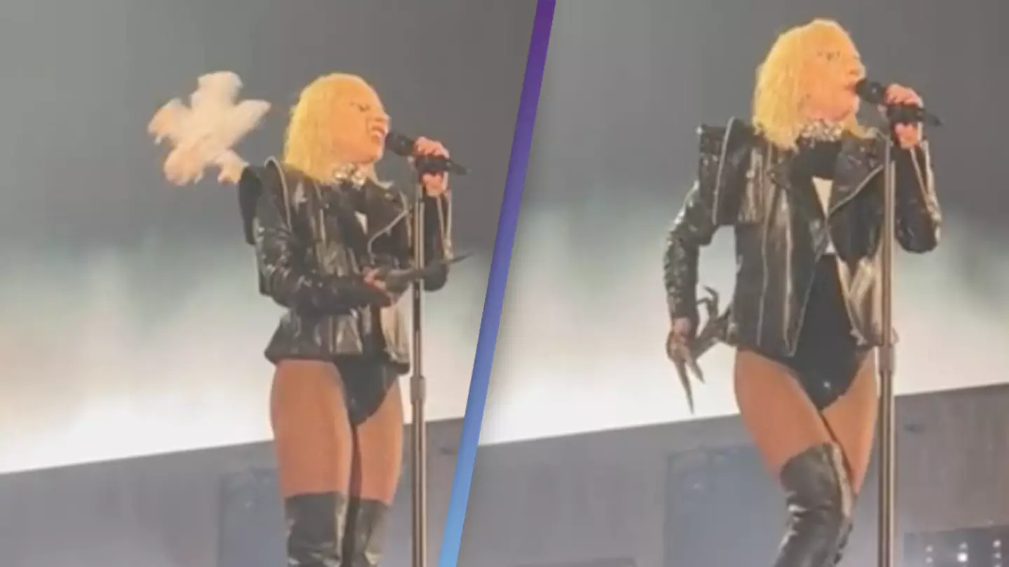 Lady Gaga has teddy bear chucked at her mid-performance