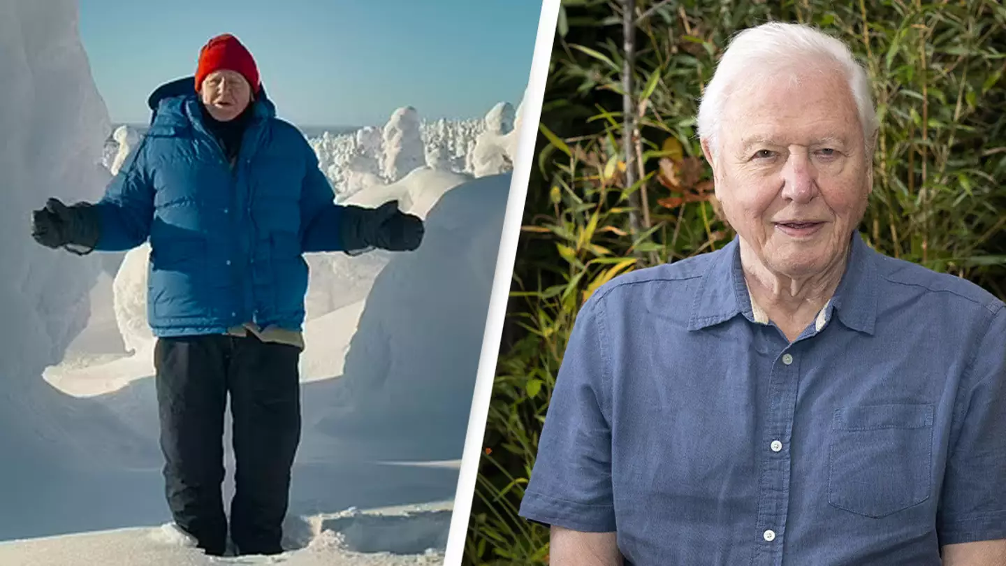 David Attenborough Braves -18C Temperatures To Film New Series