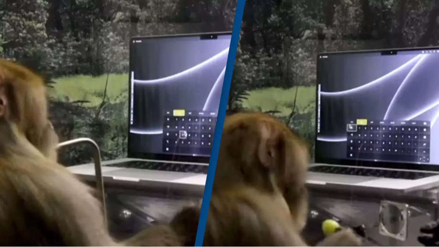 Elon Musk's Neuralink shares first footage of monkey telepathically typing