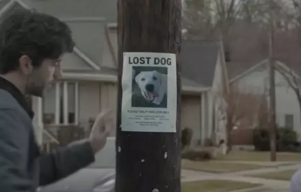 Why wouldn't you want to help find a young girl's missing dog? (Ring)