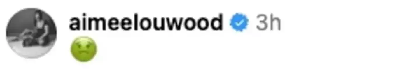 Wood's comment could be seen in a reshare of the clip (Instagram/Misanharriman)