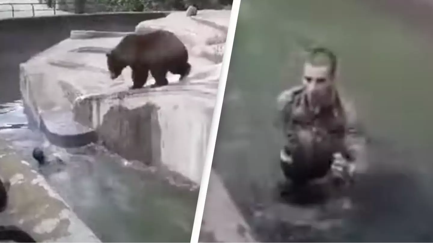 Shocking footage shows 'drunk' man jumping into bear enclosure and wrestling it