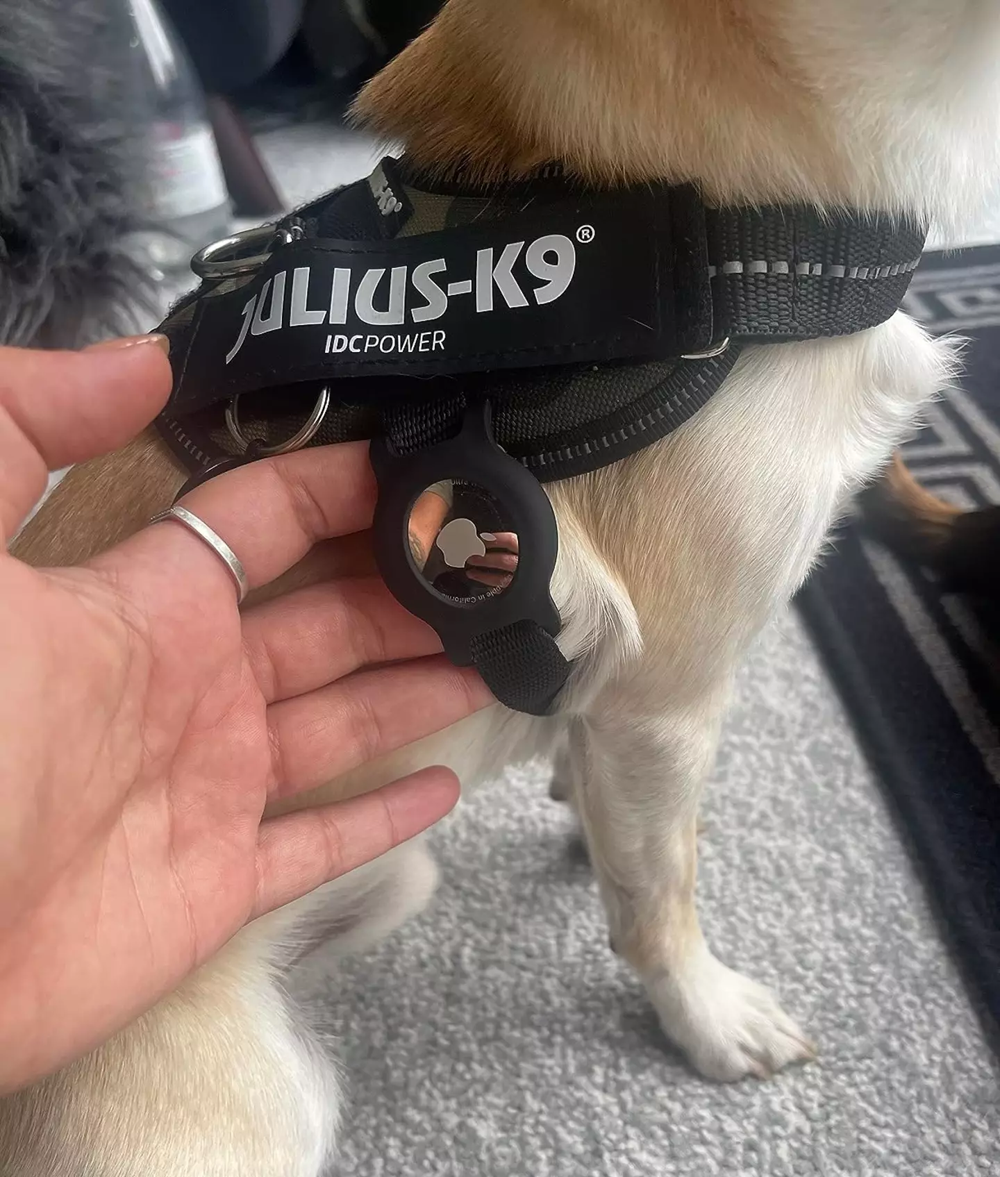 People are using the Apple AirTag to track their pets (Amazon reviews)