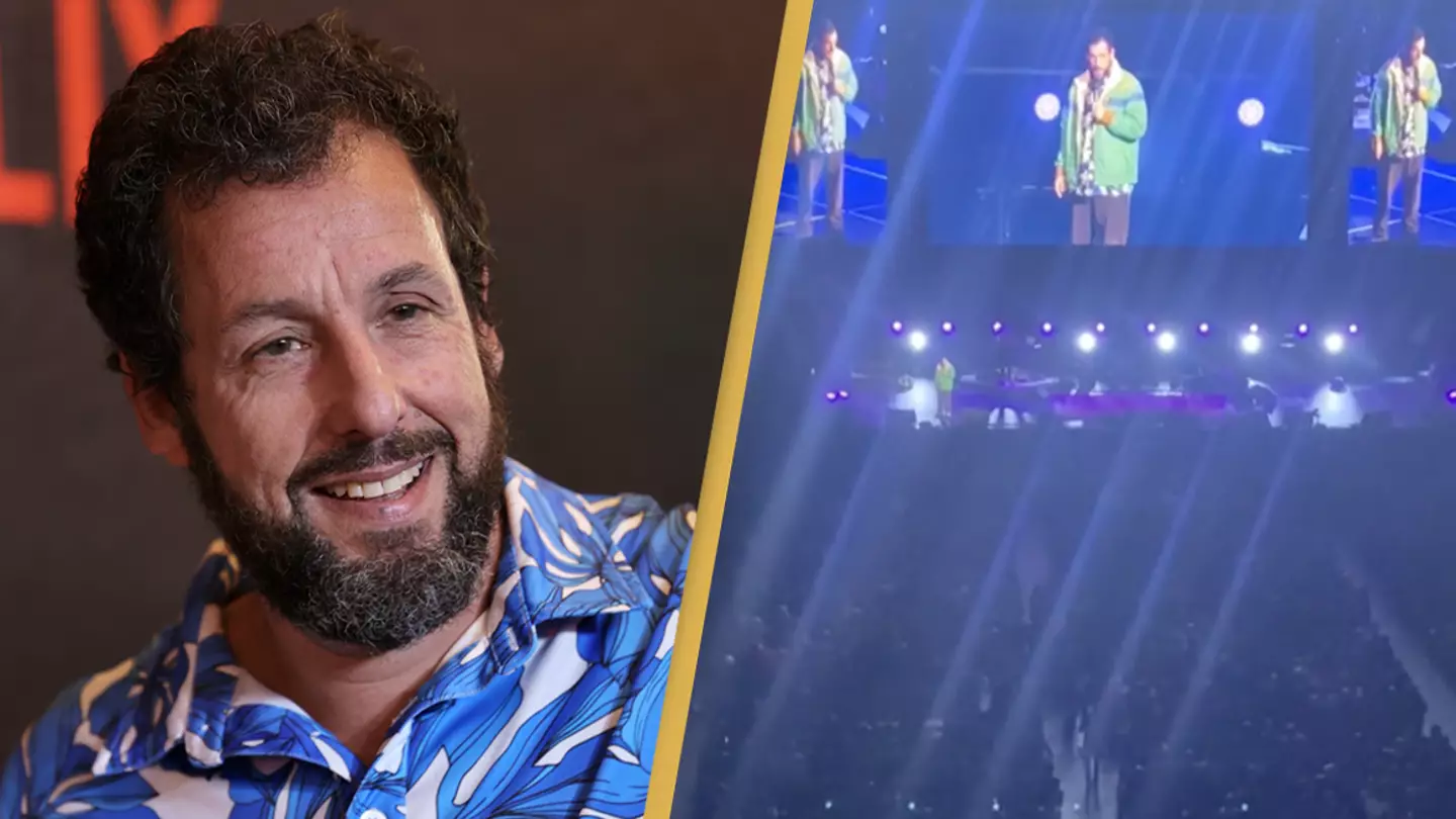 Adam Sandler stops stand-up show as audience member has medical emergency