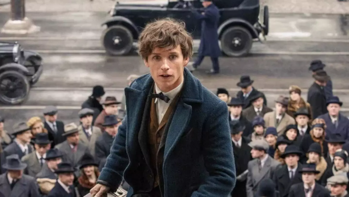 Eddie Redmayne is just one of Rowling's colleagues to sign an open pro-trans letter (Warner Bros.)