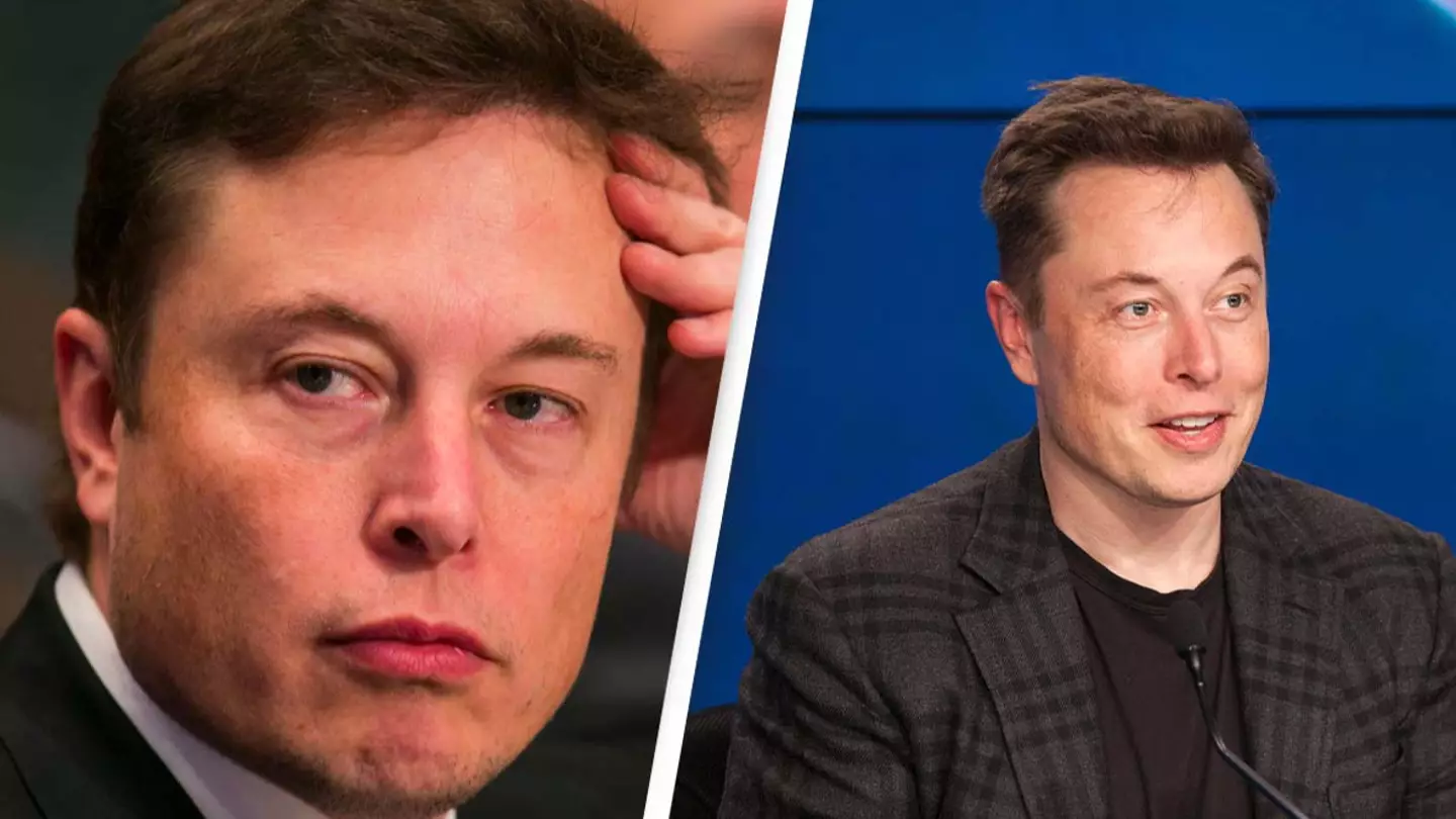 Elon Musk Taunted Over Hair Plugs On Twitter