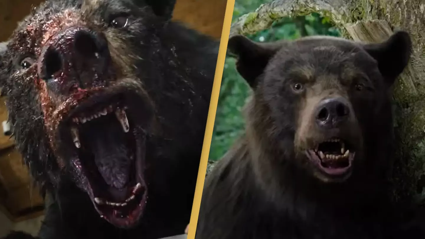 The unbelievable true story behind film about a bear who ate 70lbs of cocaine