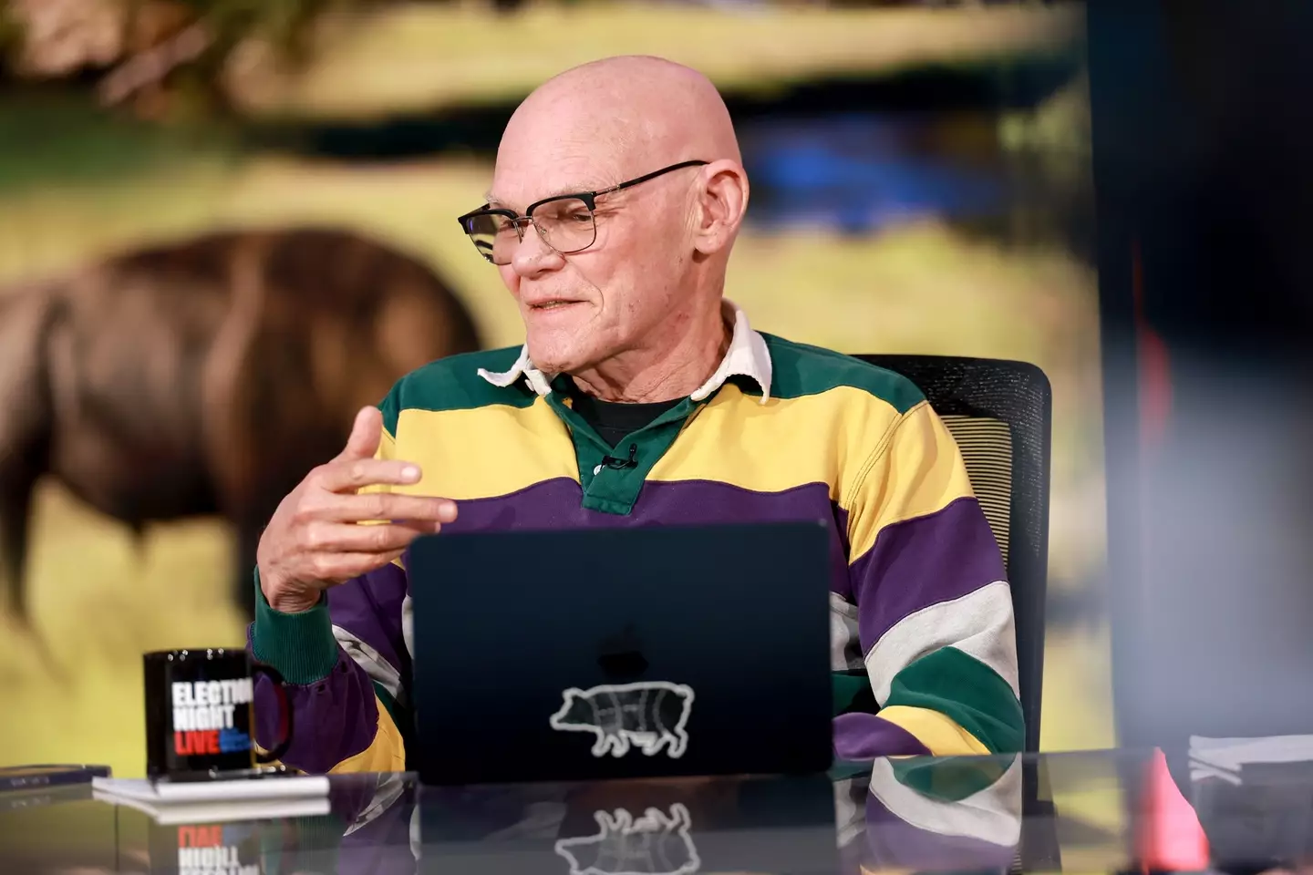 James Carville is a Democratic political strategist (Matt Winkelmeyer/Getty Images for Amazon Studios)