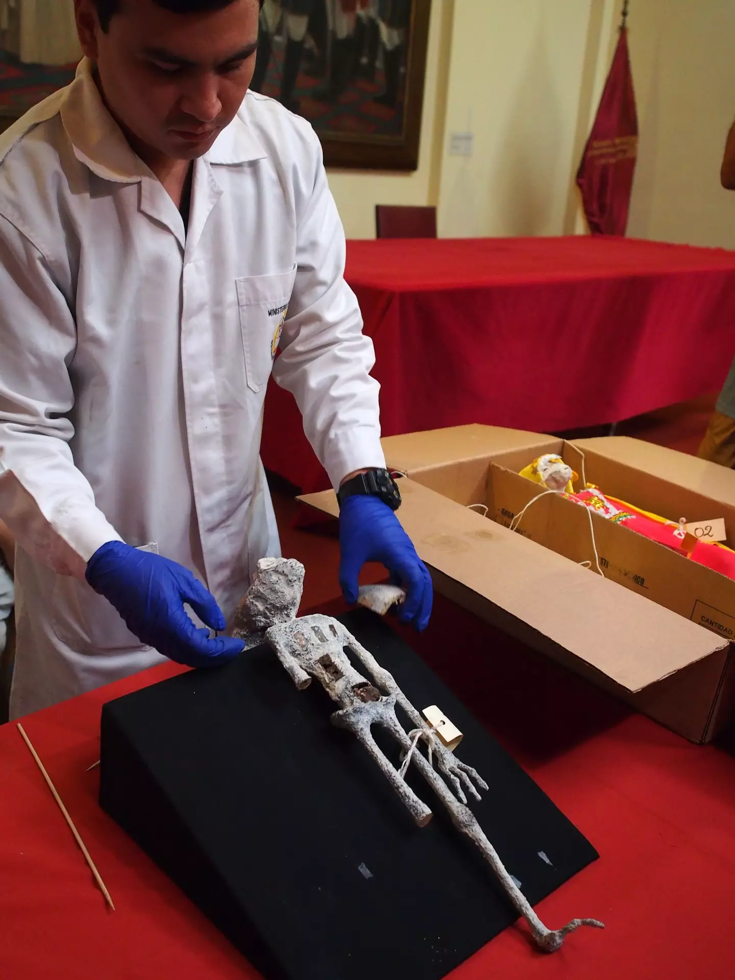 They have since been revealed to be dolls made of animal bones.