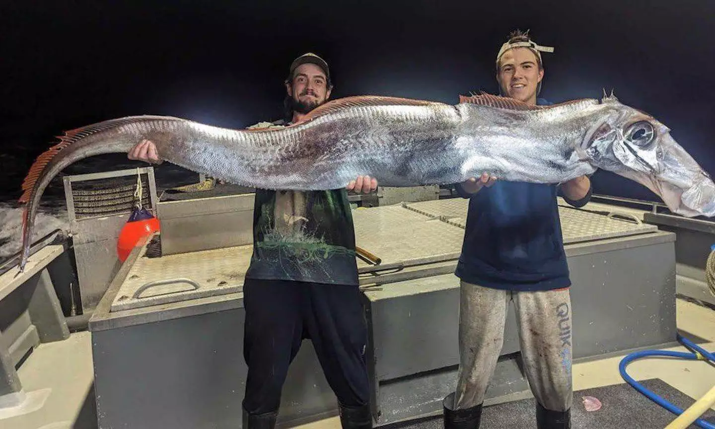 The 'doomsday fish' (Facebook/Fishing Australia TV)