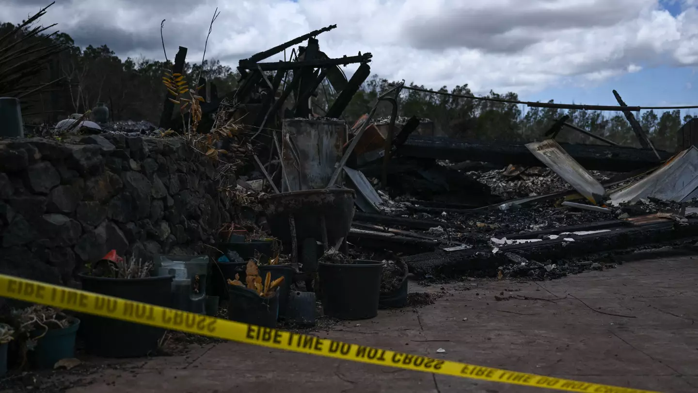 Here's how you can help Hawaii and the victims of its wildfires