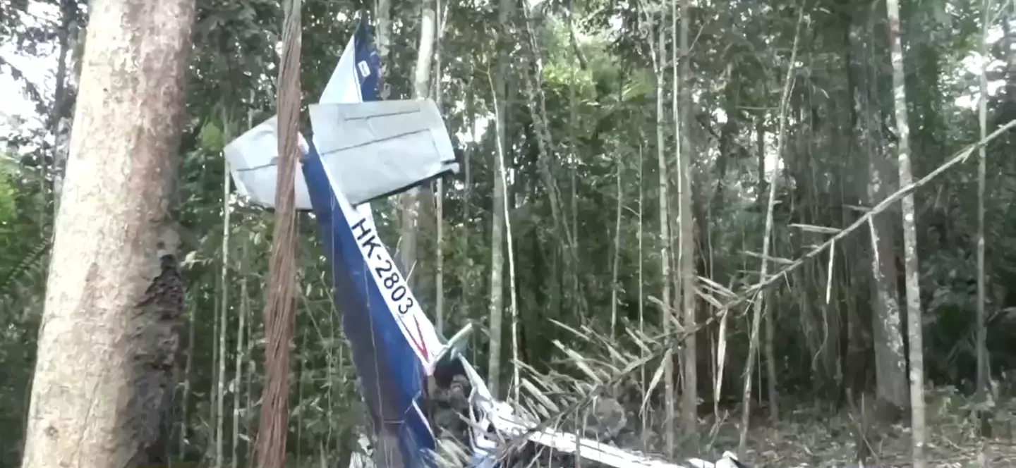 The plane went down in the jungle of Colombia's Caquetá province on 1 May.