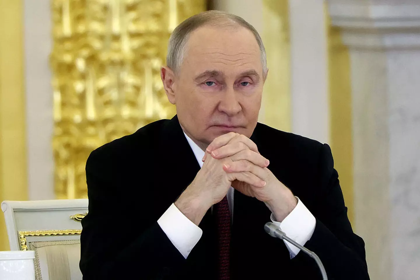 Putin has said he's not planning on going to war with Europe (Contributor/Getty Images)