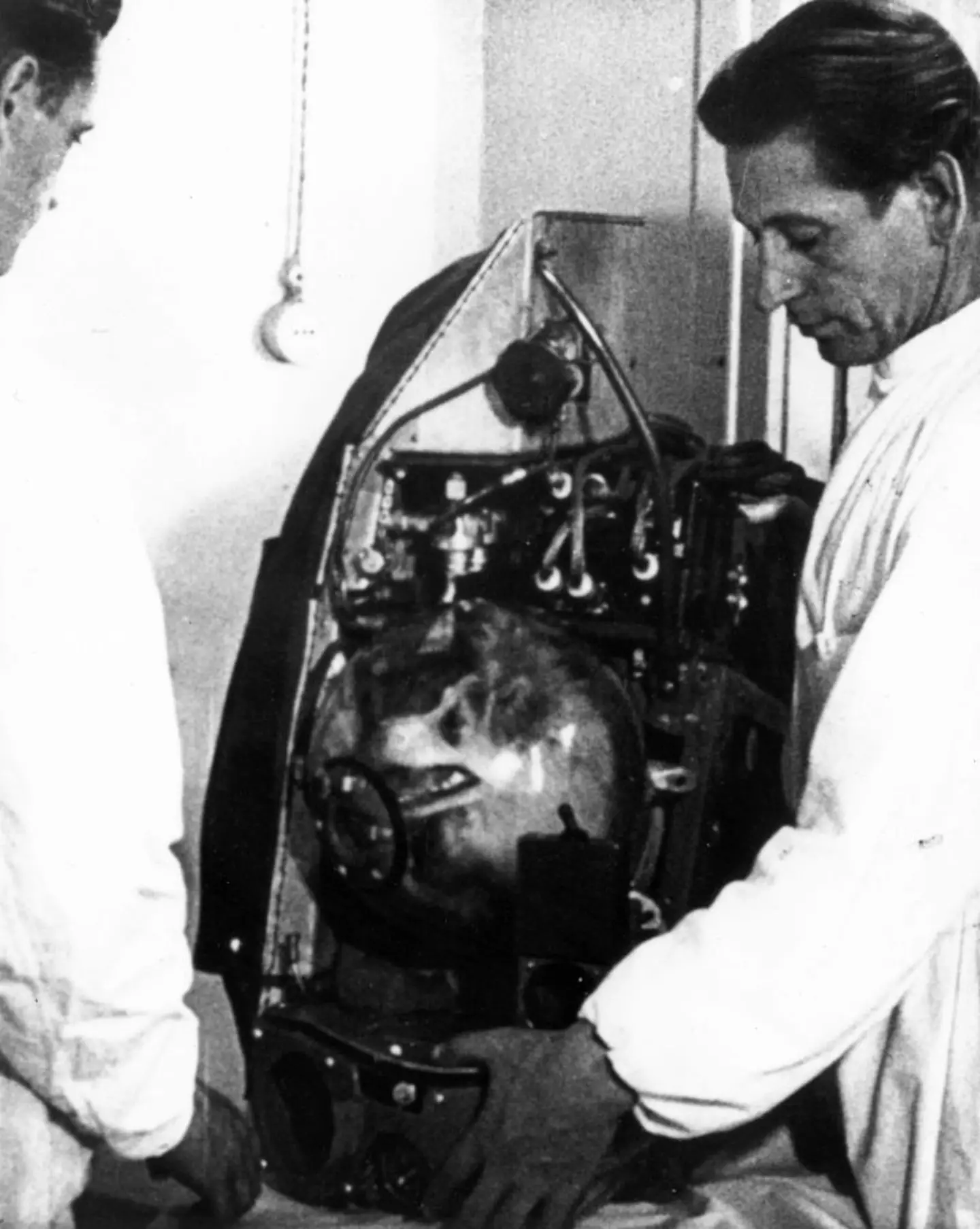 Laika is thought to have died just five hours into the experiment (Keystone/Getty Images)