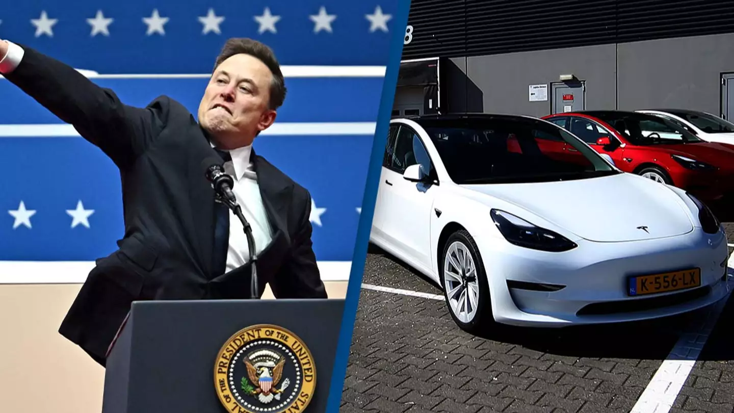 Tesla owners share future plans with vehicles after Elon Musk accused of doing 'Nazi salute' at Trump rally