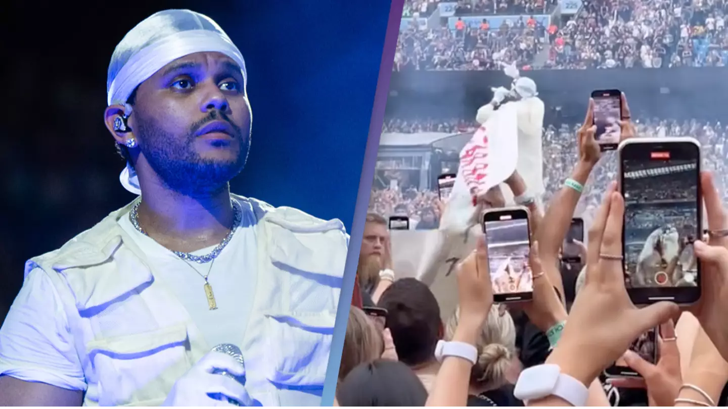 The Weeknd fan snatches sign from someone blocking their view at a concert