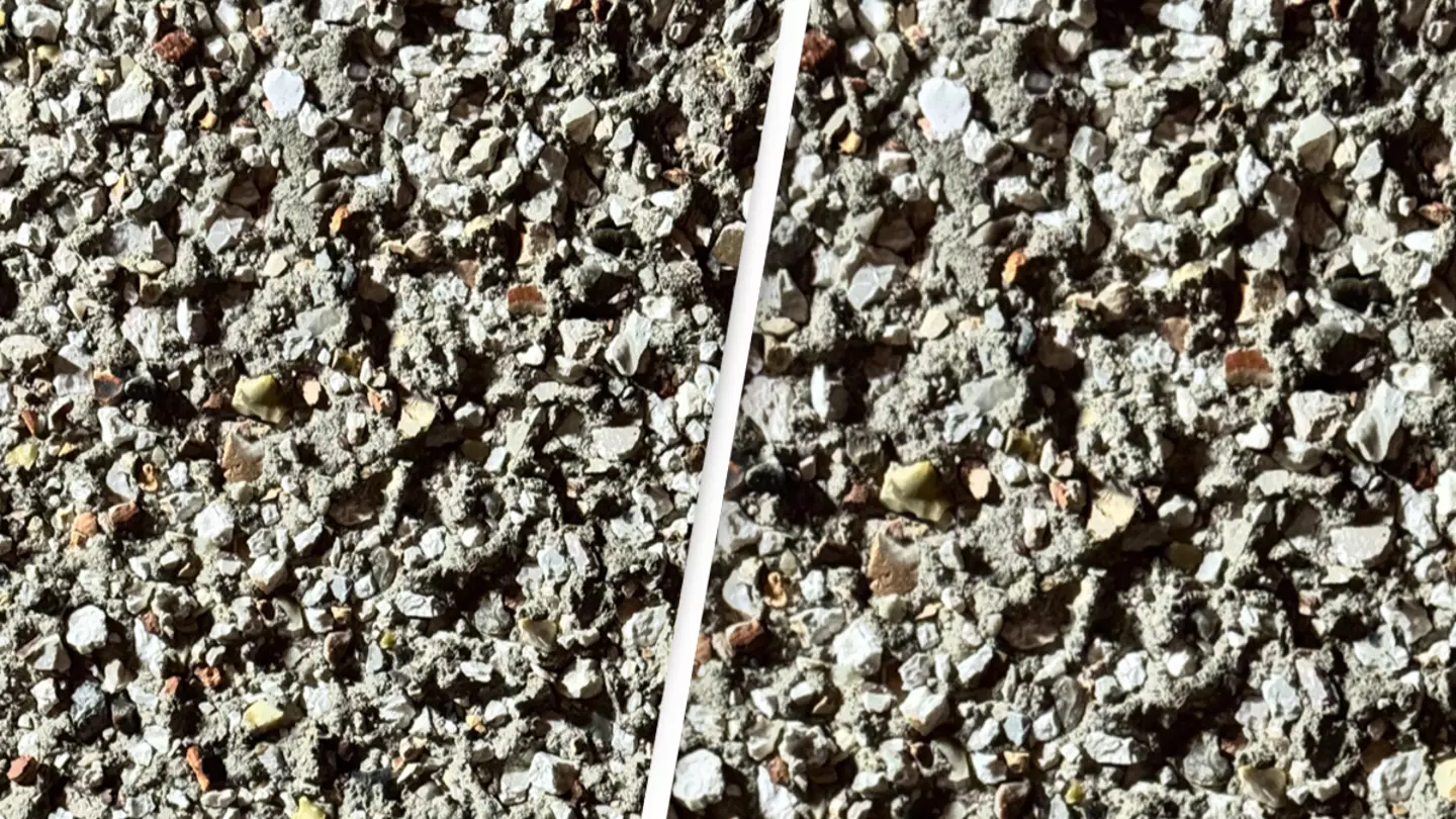 You have the eyes of a 'sniper' if you can spot hidden moth in this image