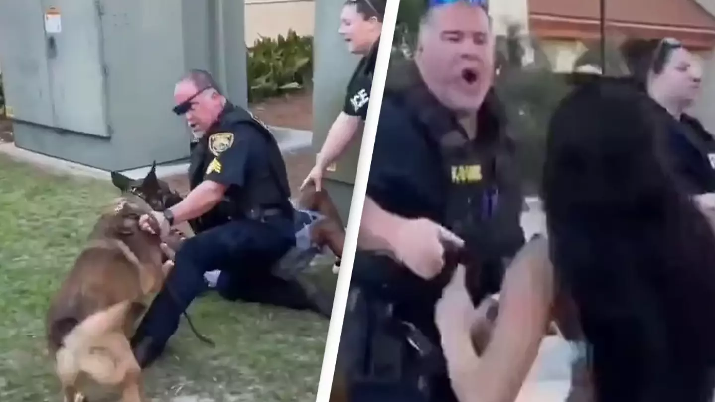 Moment K9 Turns On Handler During Spring Break Arrest