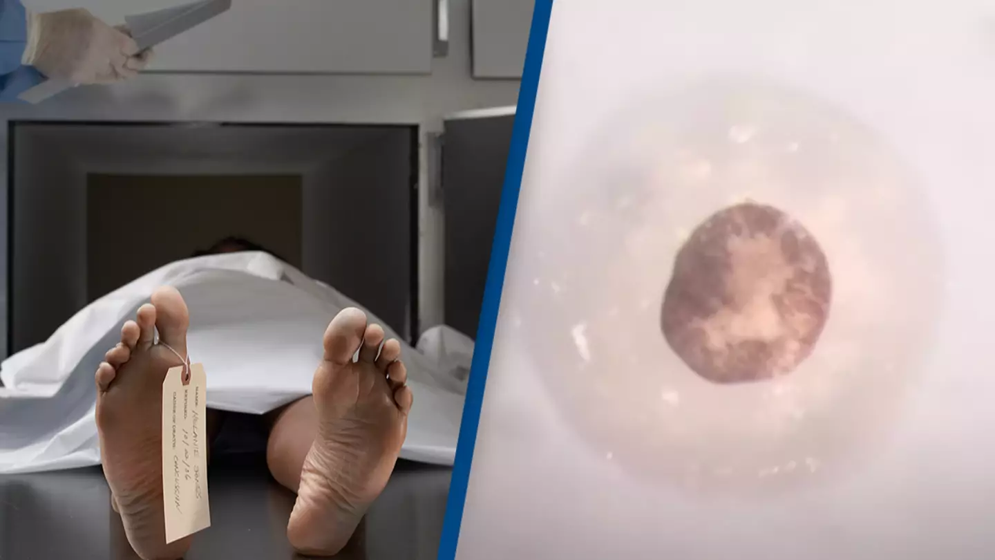 Scientists discover a 'third state' that’s beyond life and death in huge breakthrough