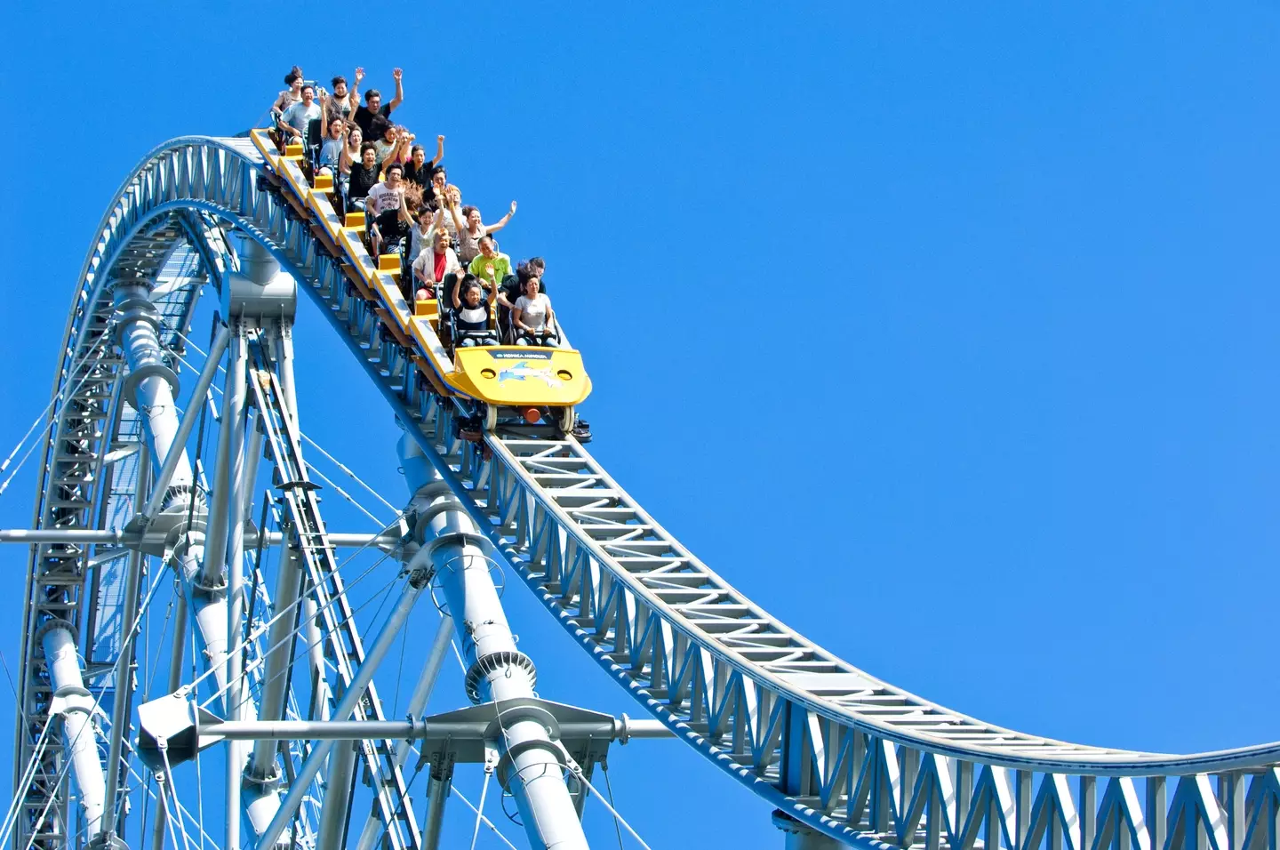 Roller coasters may just be the answer to treat kidney stones!