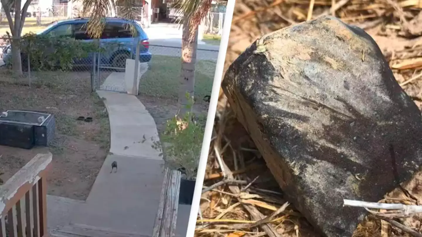 @disdikmark/Twitter/NASA