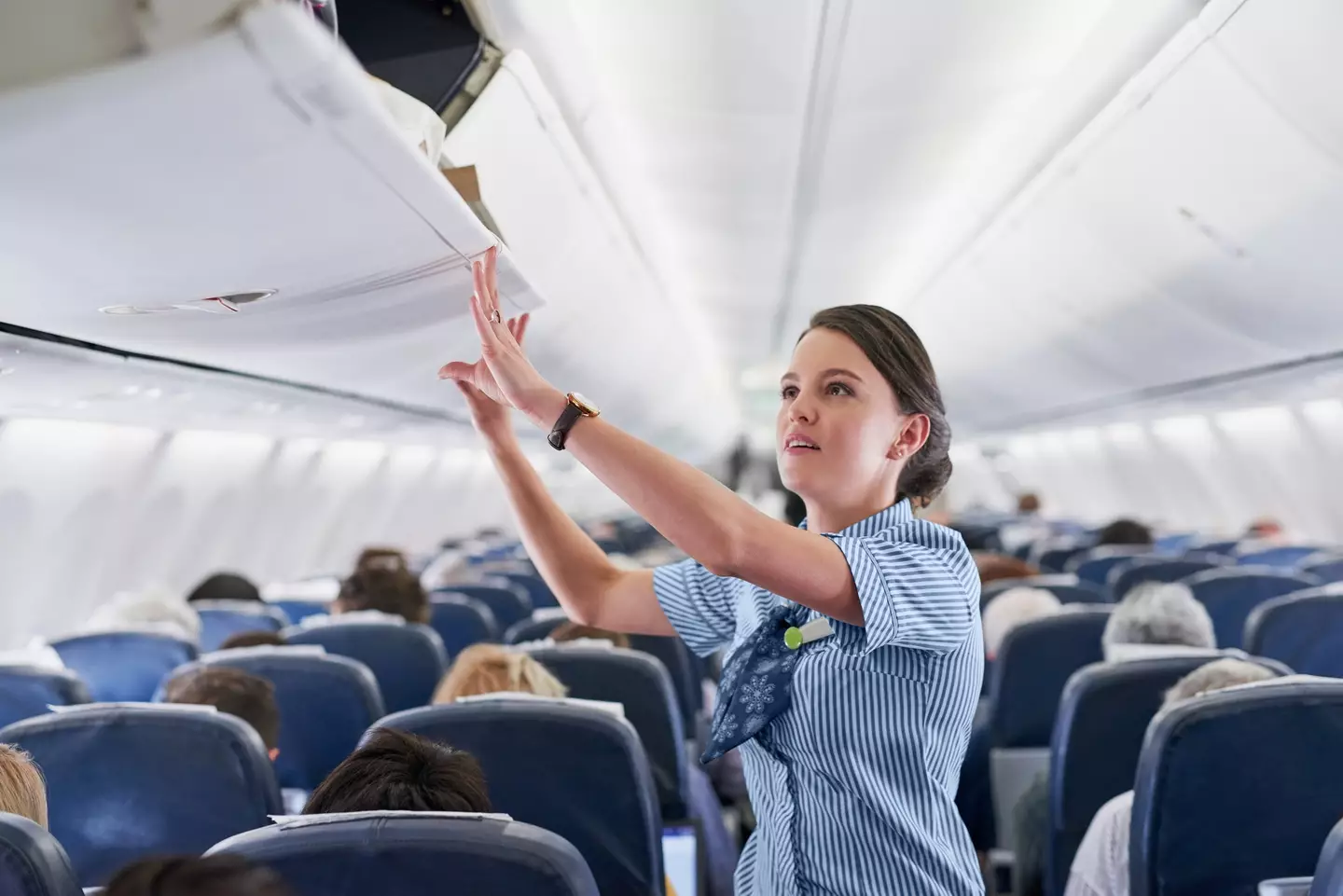 A flight attendant has revealed the one phrase you don't want to hear.