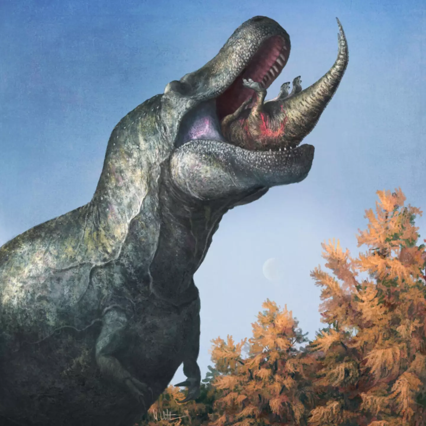 T-rexes might have just had regular sized teeth.
