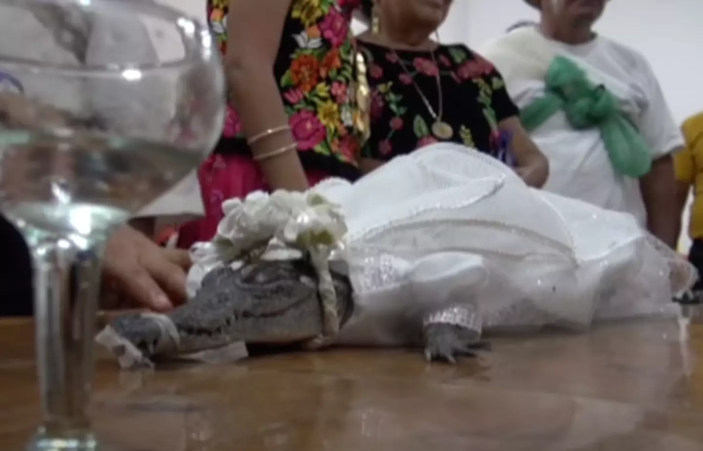 The reptile is thought to represent 'Mother Earth'.