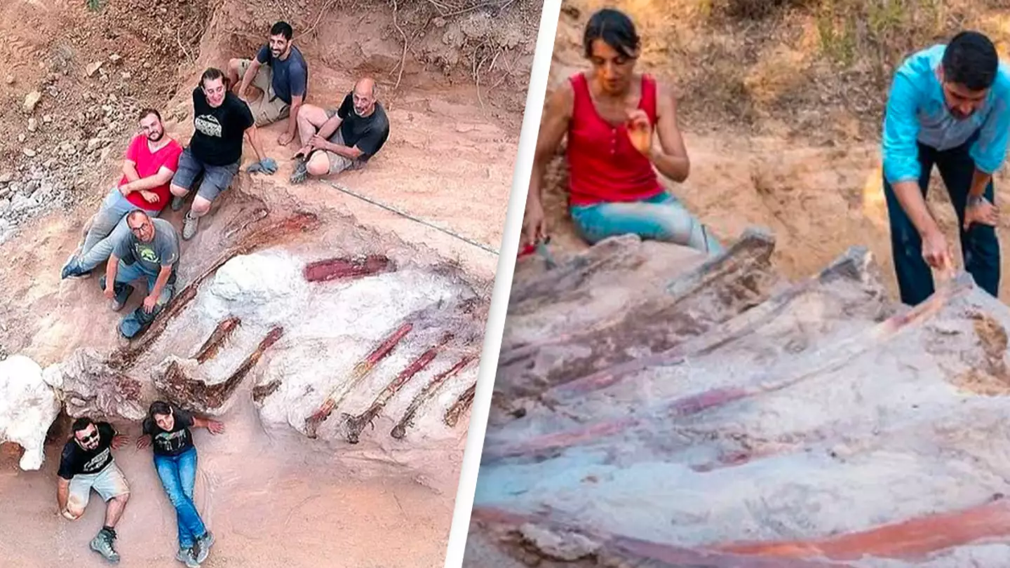 Man discovers 82ft-long dinosaur skeleton in his garden
