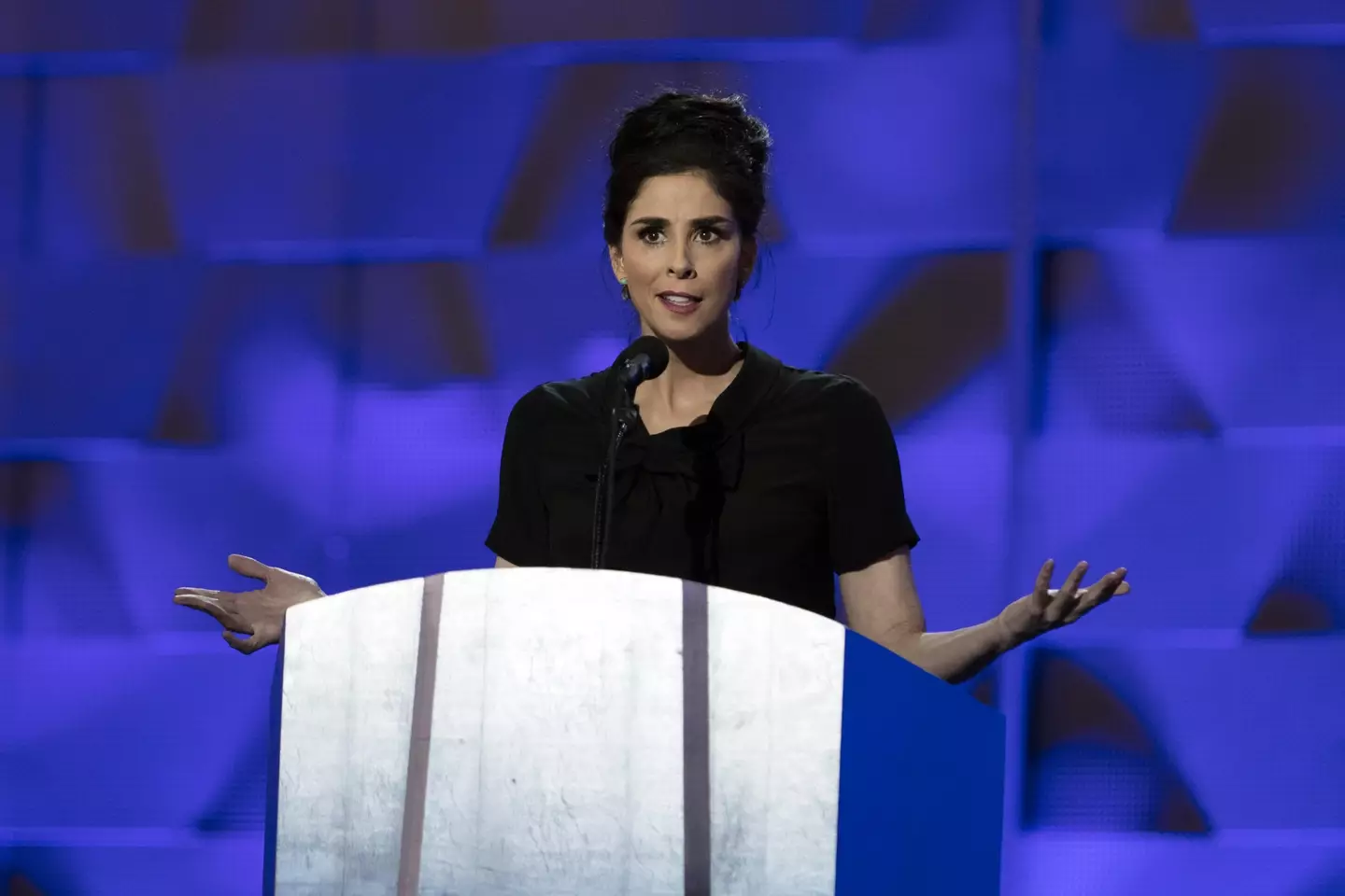 Sarah Silverman once took part in a sketch that saw her wear blackface.