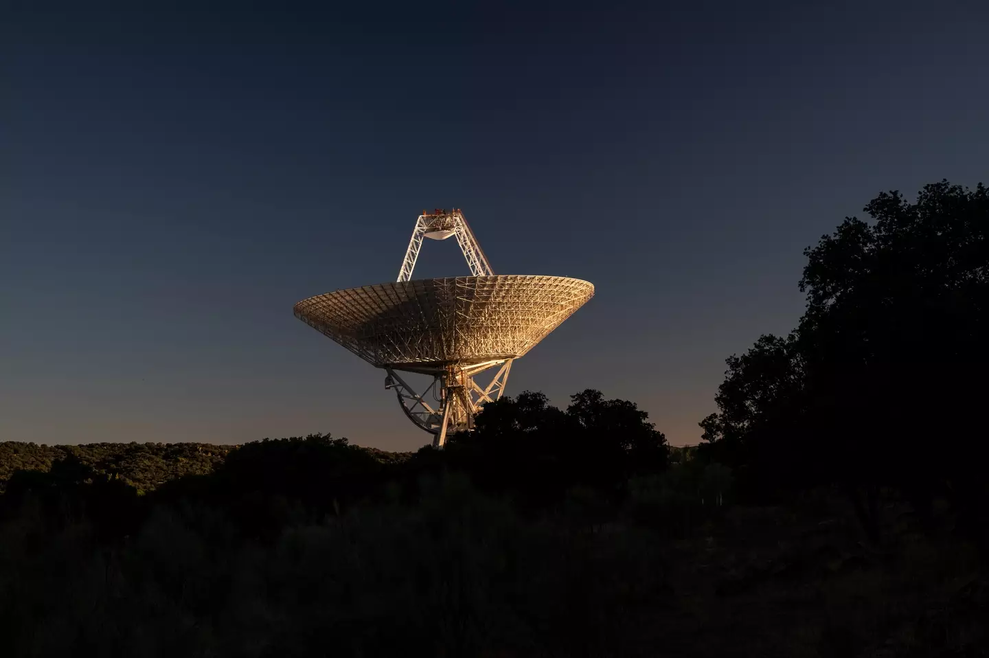 The radio signal took 8 billion years to reach Earth