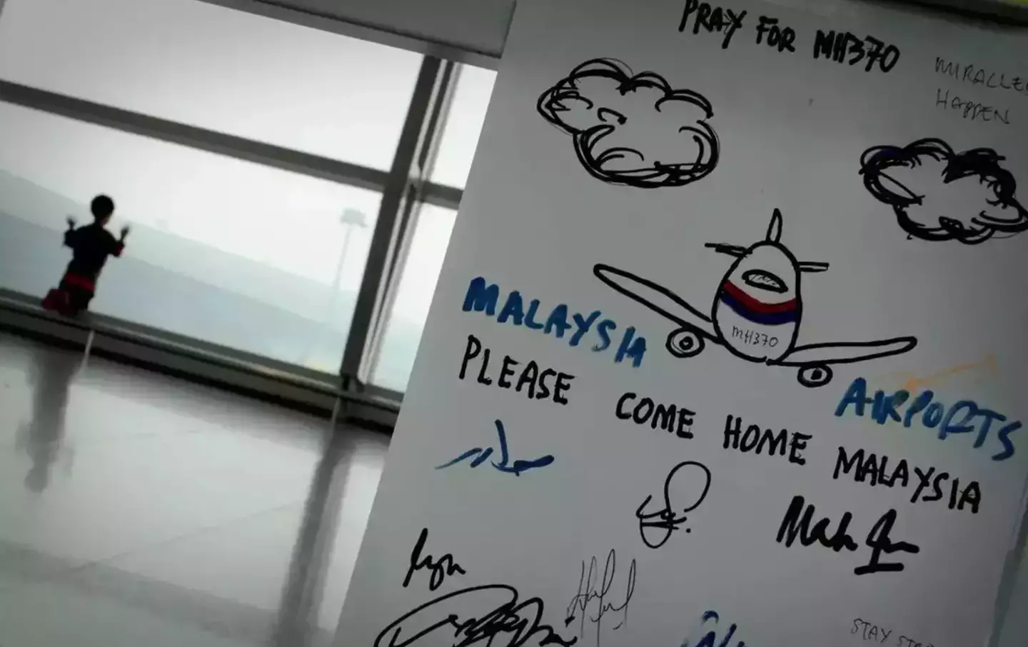 Flight MH370 went missing in 2014.