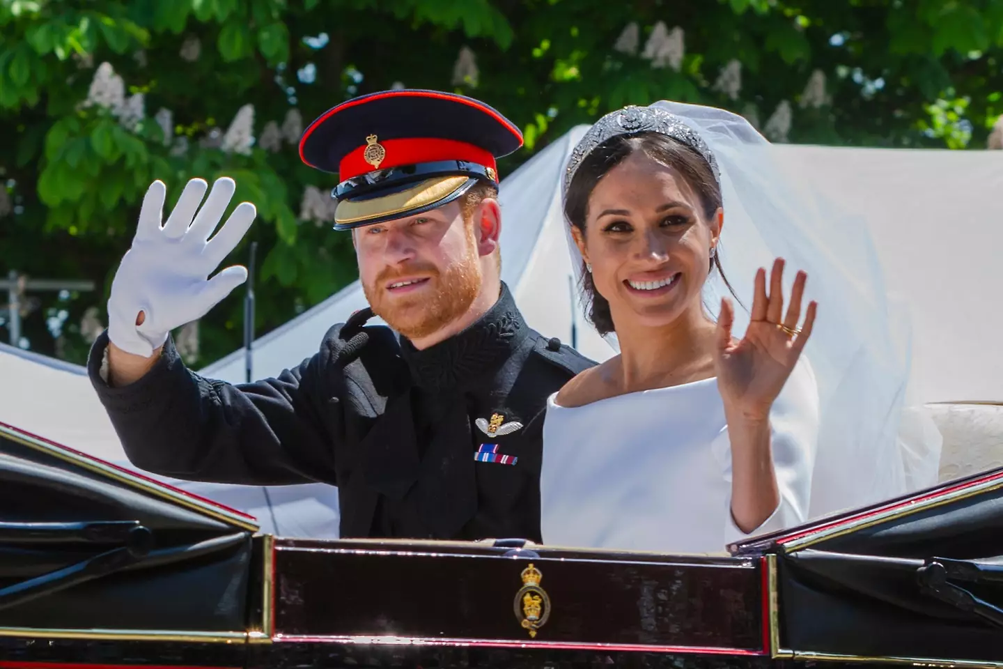 Prince Harry and Meghan (Alamy)