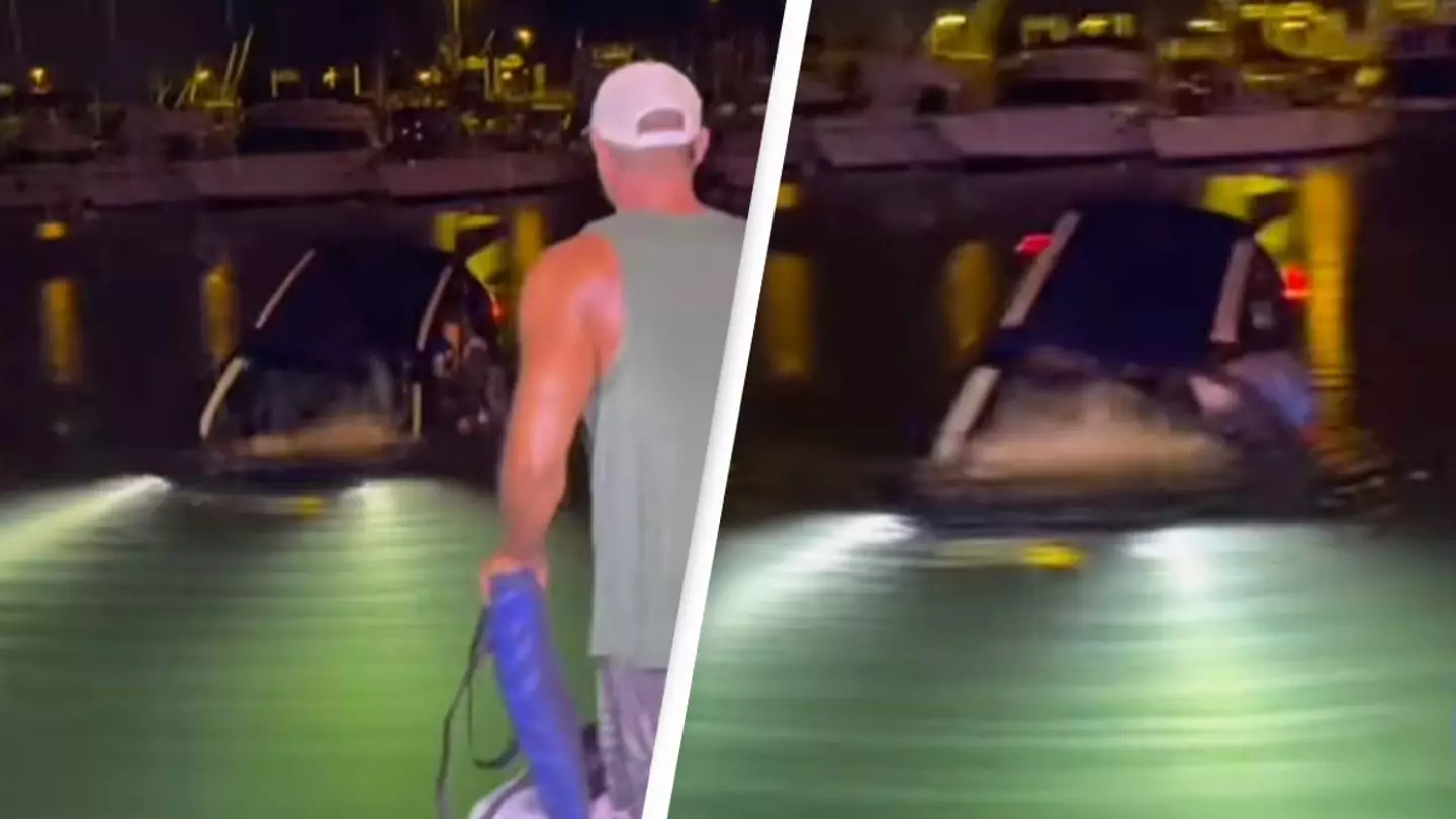 Tourist following their satnav accidentally drives car into Hawaii harbor