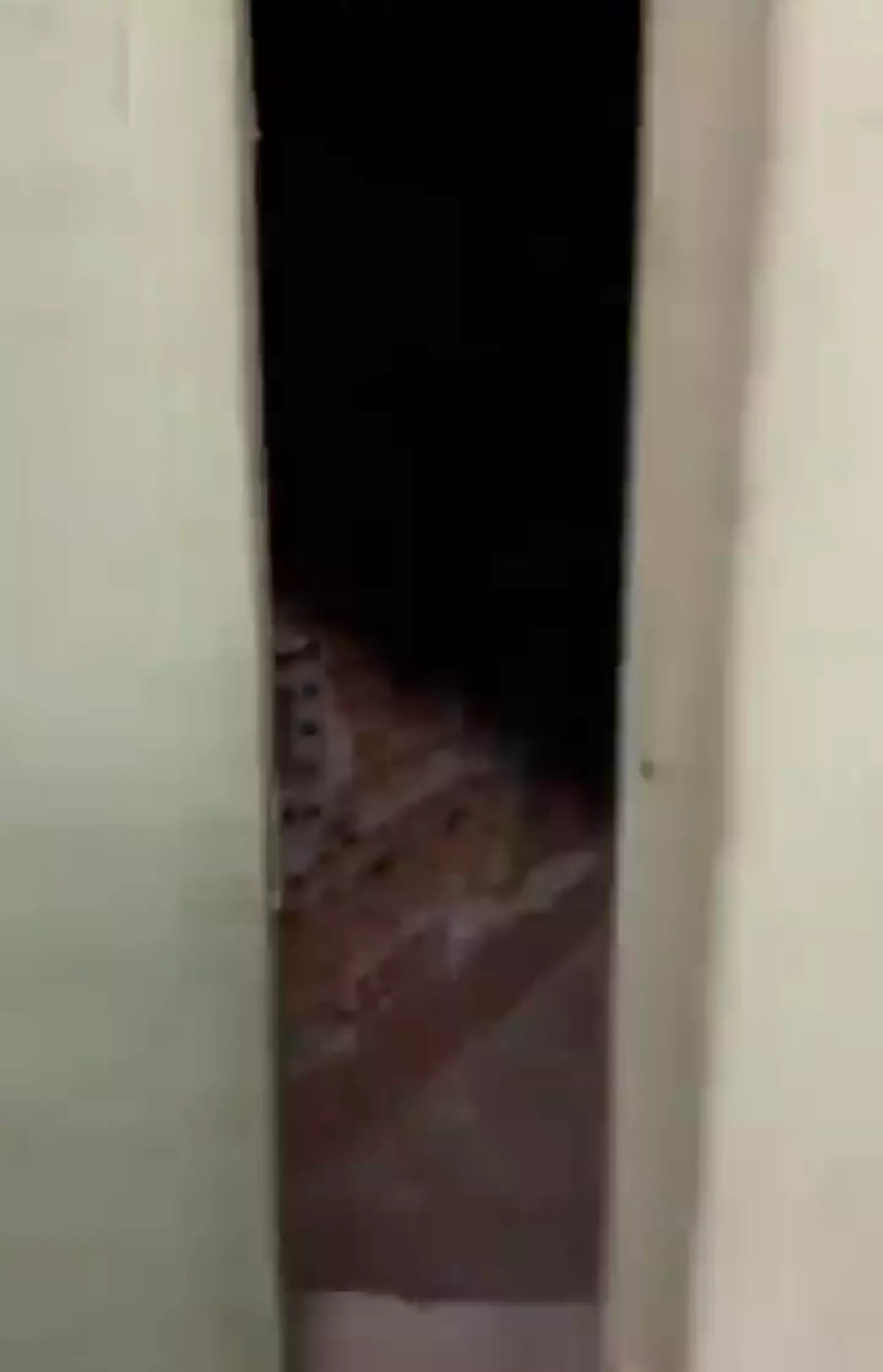 He did what every horror movie character always does.