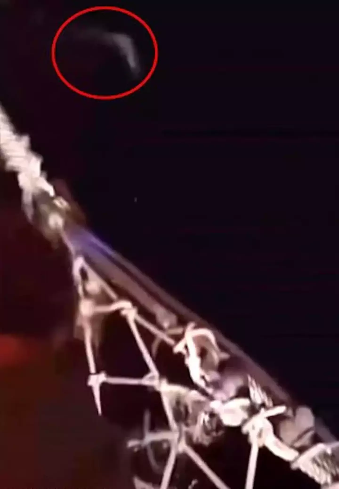 Viewers think the circled image is of a 'shark'.