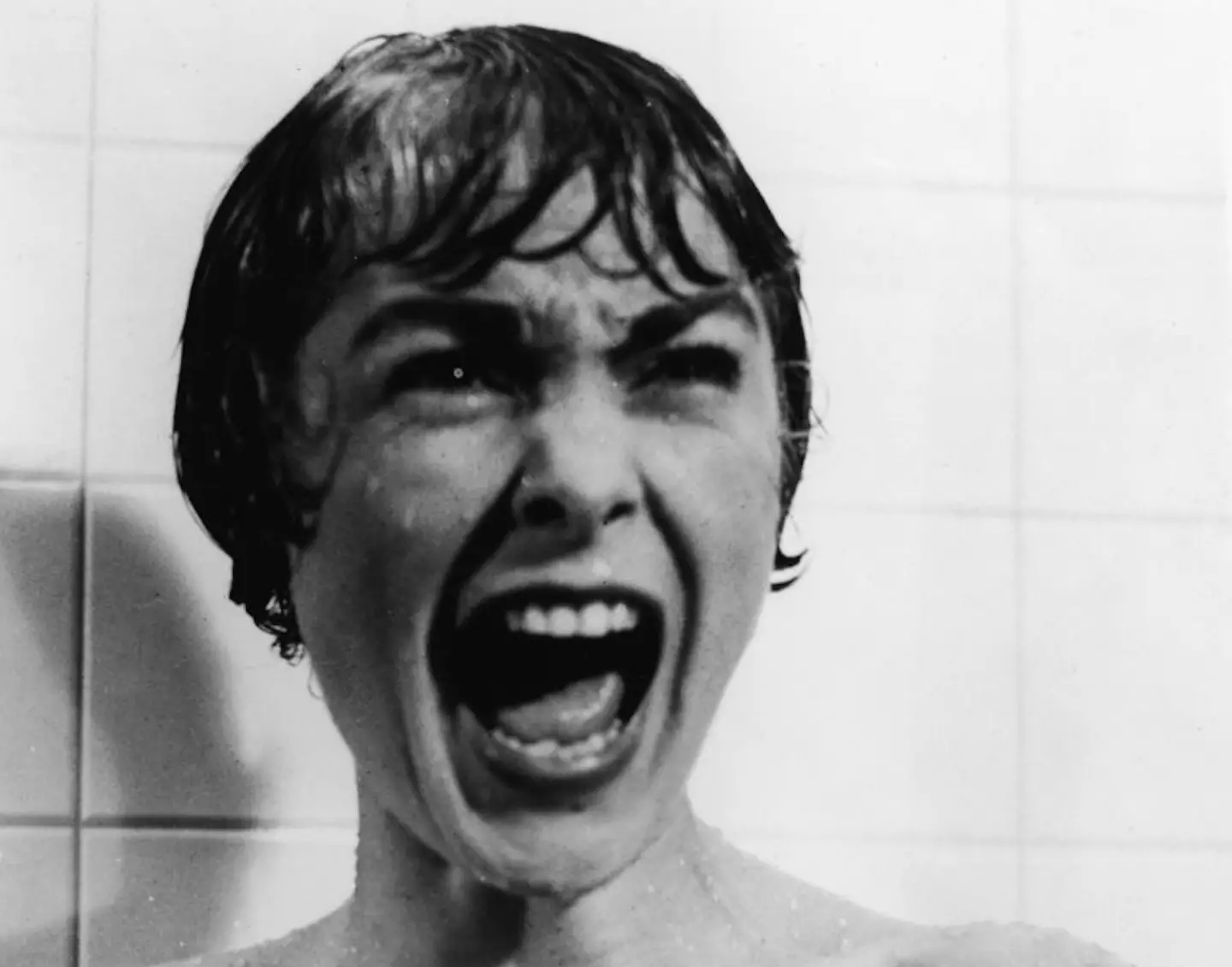 (Paramount Pictures/Courtesy of Getty Images)