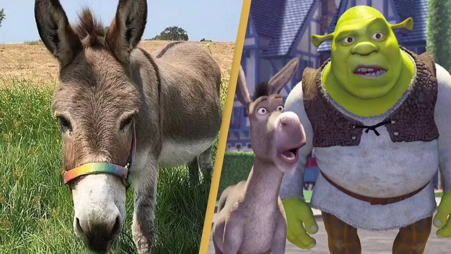@bpdonkeys/Instagram / DreamWorks