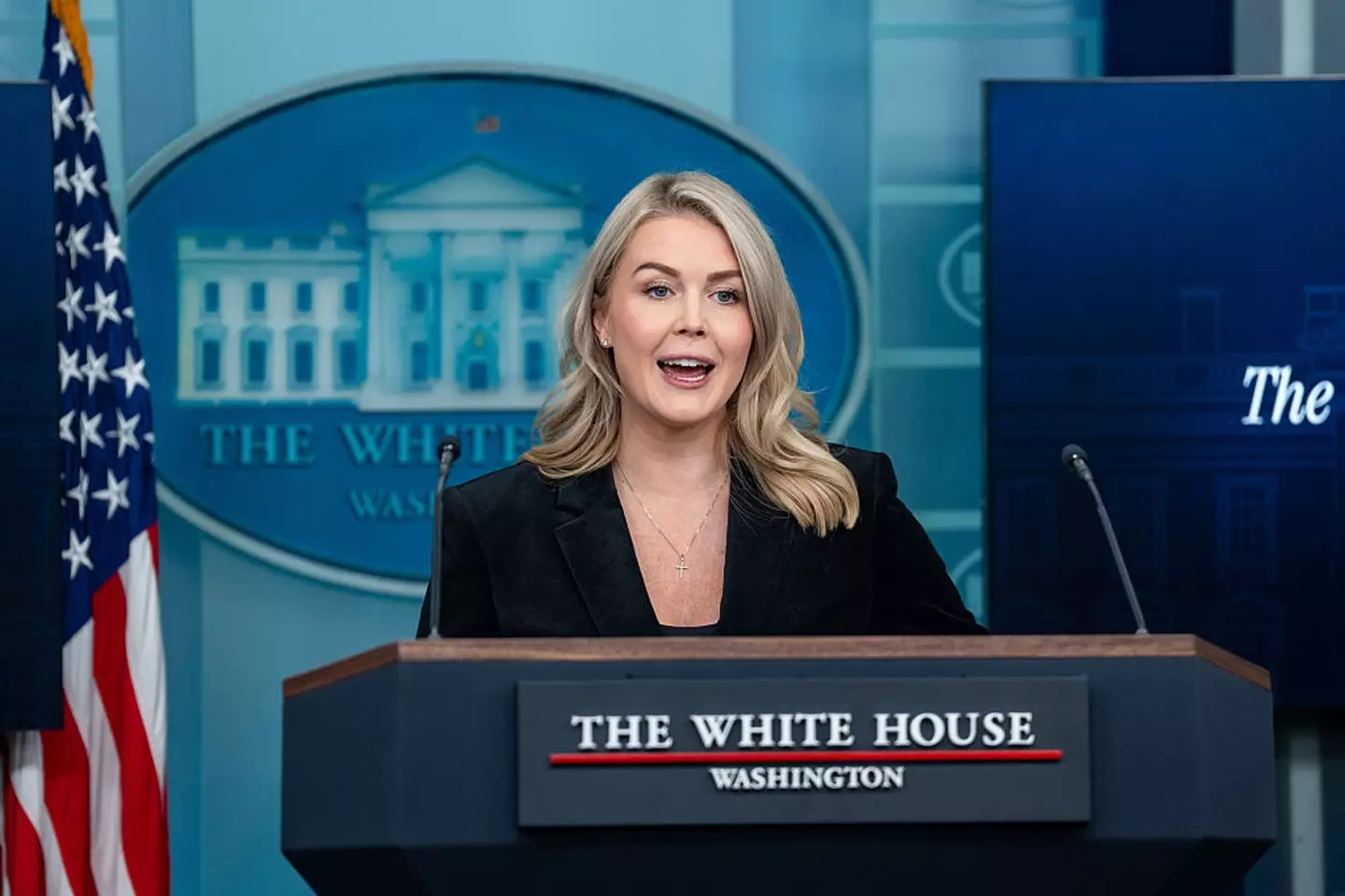 White House press secretary Karoline Leavitt defend the controversial comment ( Bonnie Cash/UPI/Bloomberg via Getty Images)