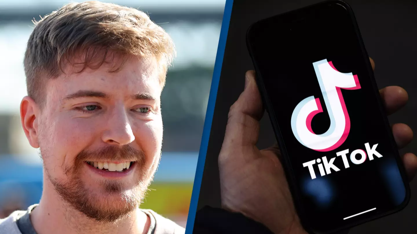 MrBeast shares update on 'offer' after TikTok goes dark for 170,000,000 people in the US