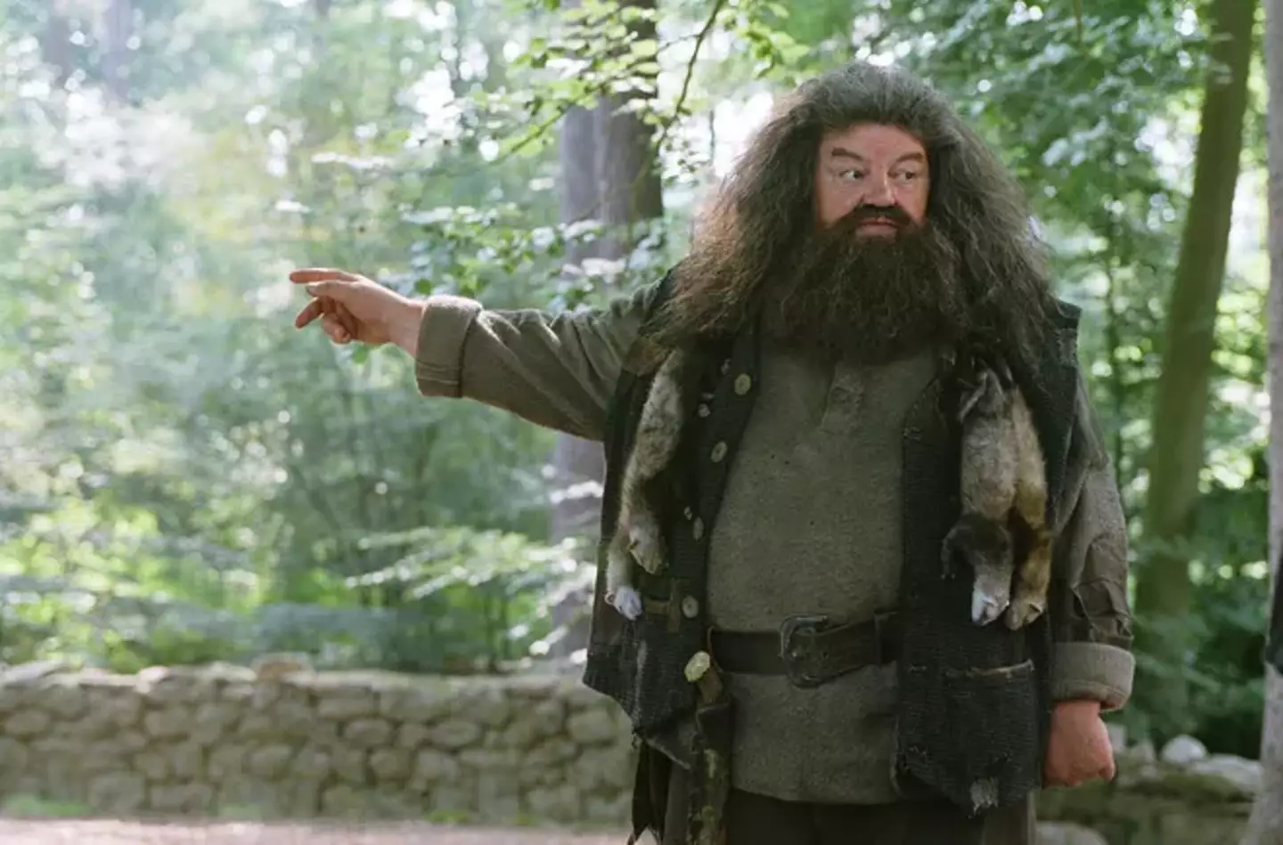 Robbie Coltrane.