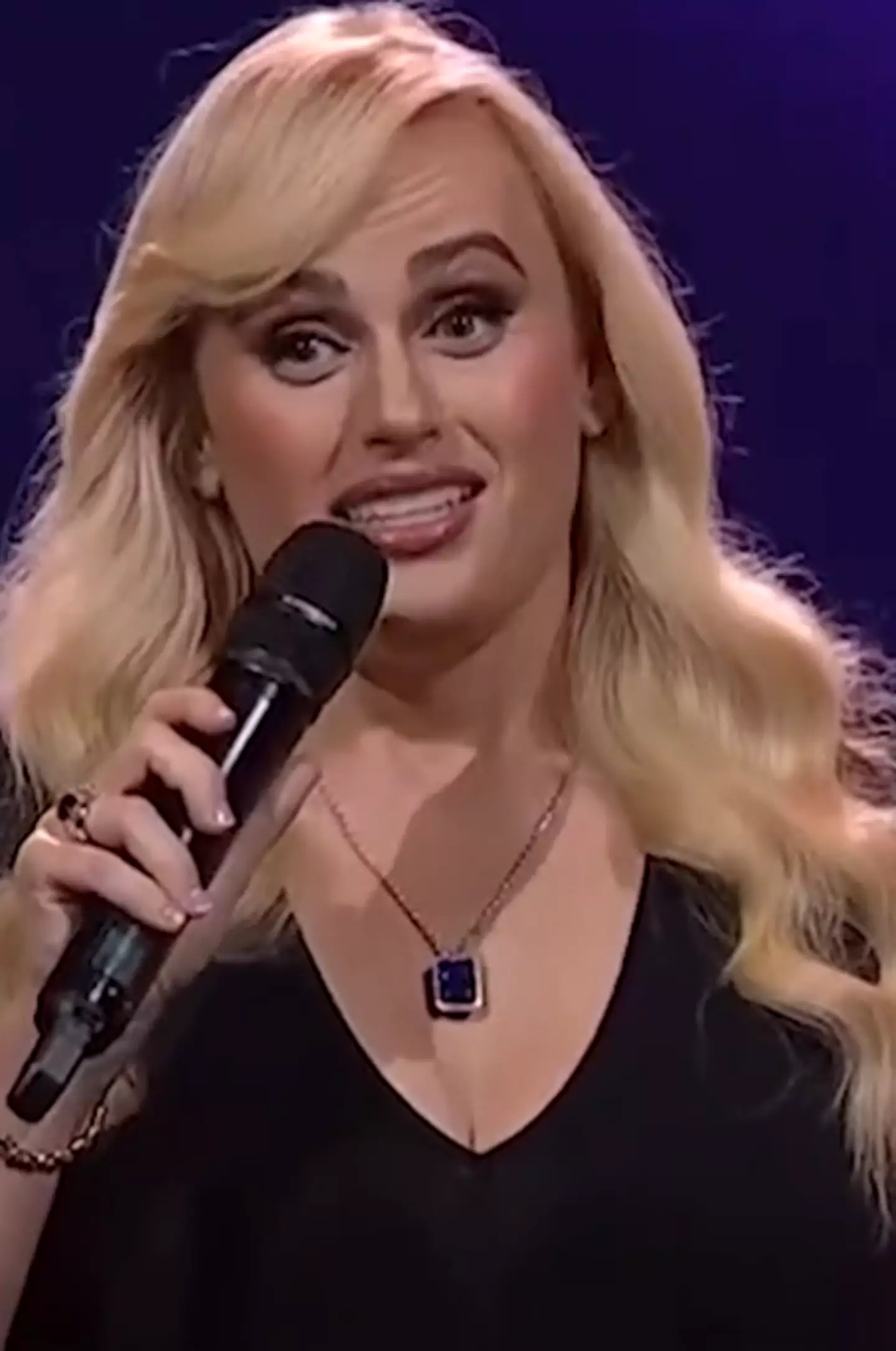 Rebel Wilson said there was a chapter about the person in her upcoming memoir, Rebel Rising.