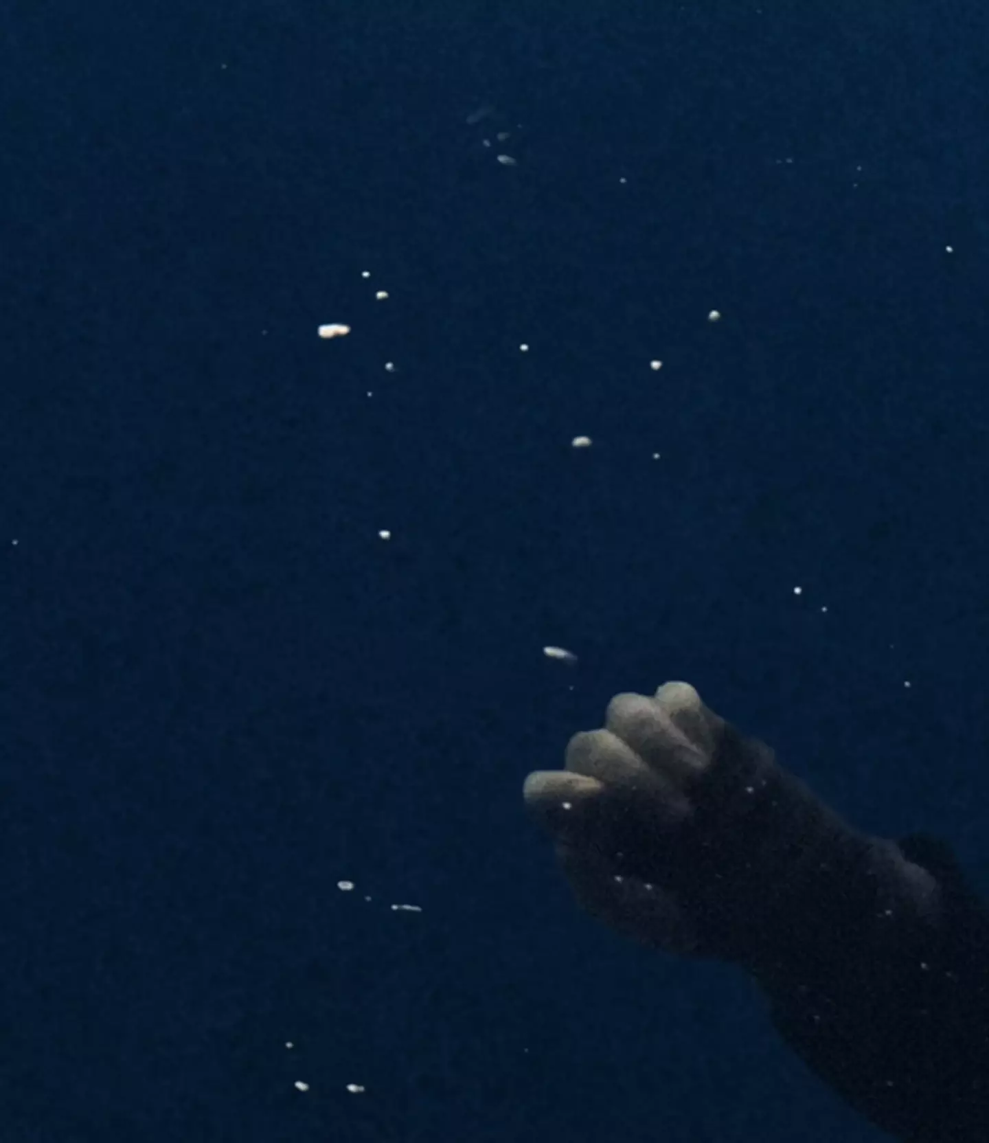 The singer sent her fans into a frenzy after adding them to her close friends list on Instagram.