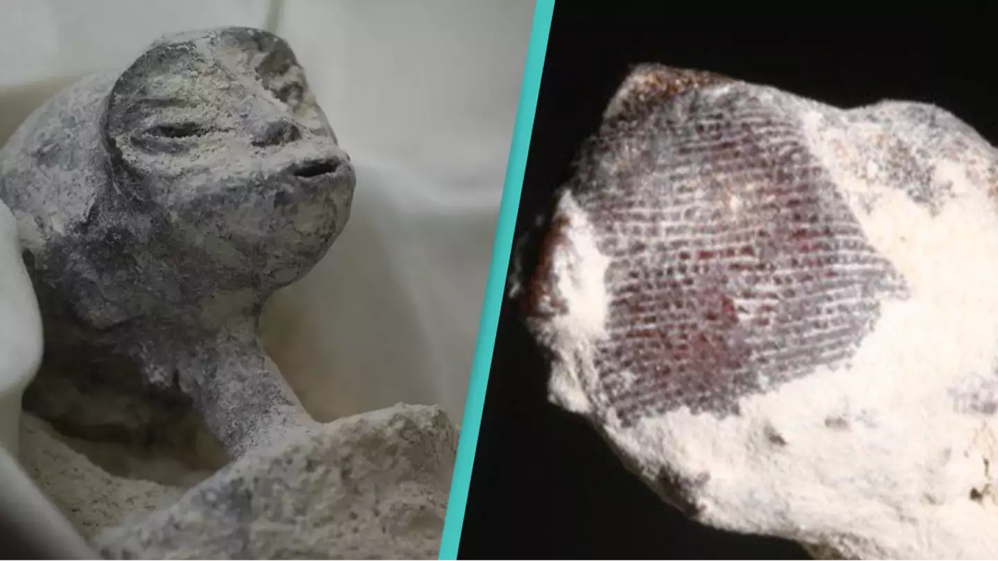 Daniel Cardenas/Anadolu Agency via Getty Images/@pikespeaklaw/X