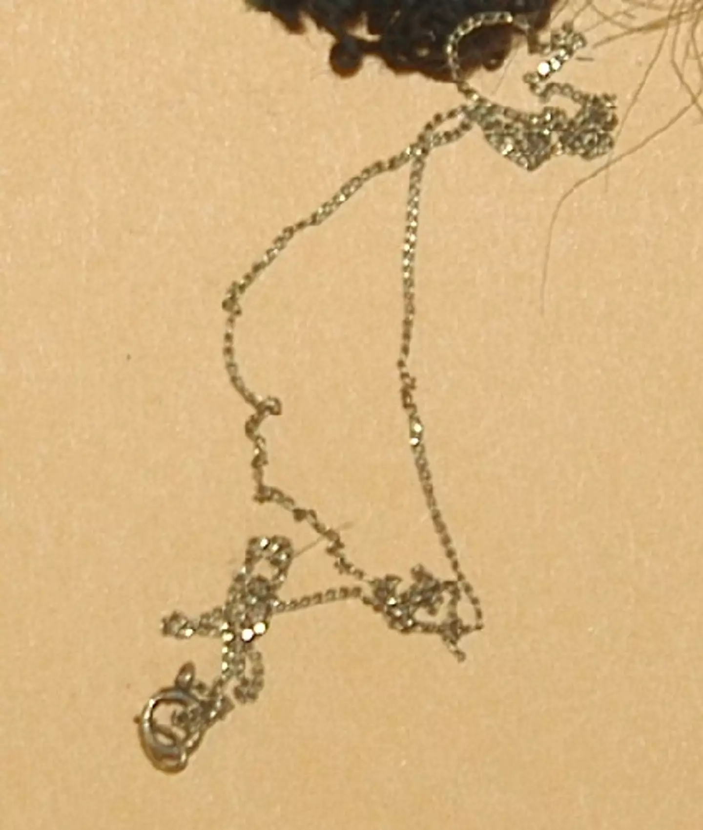 A necklace found at the scene.