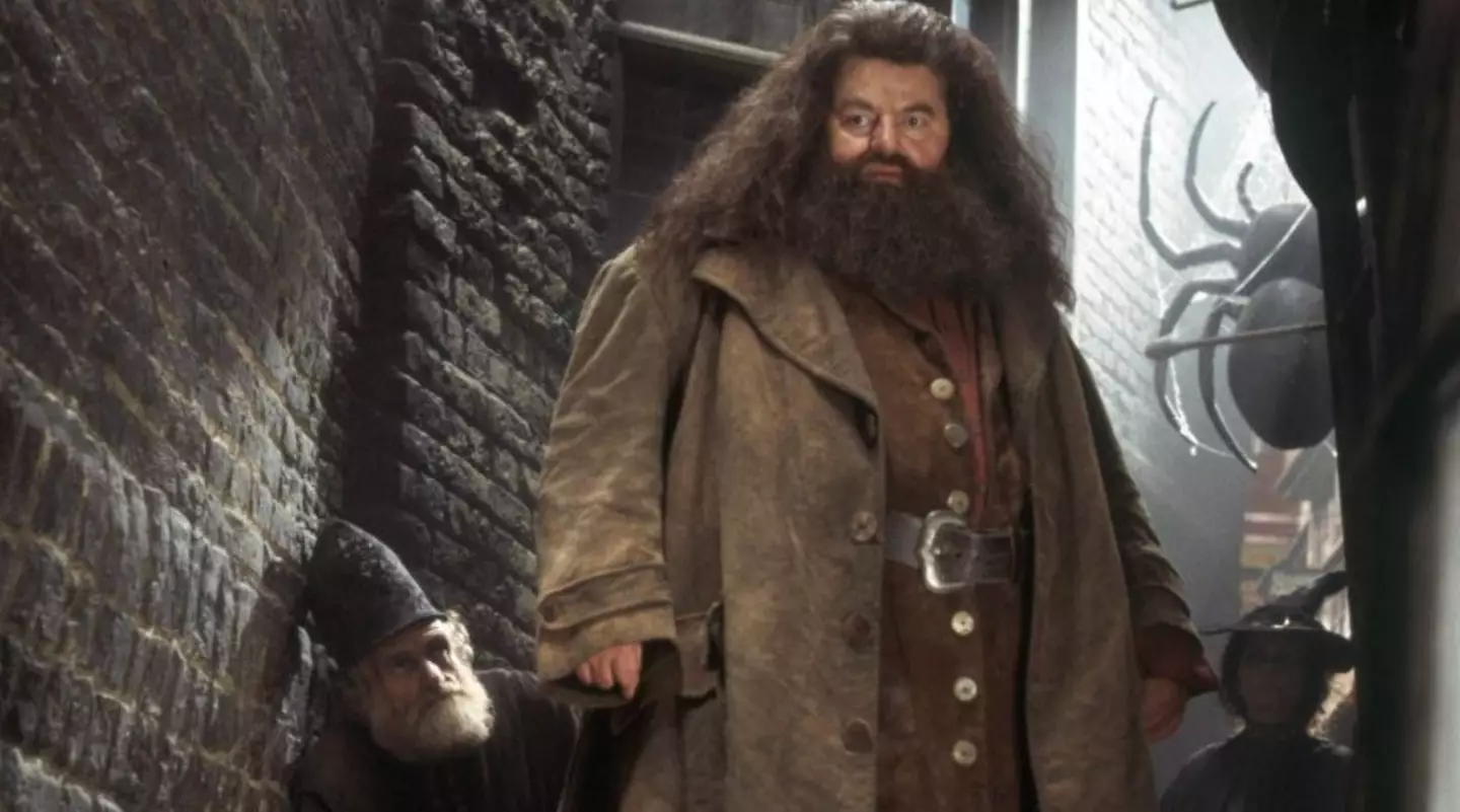The actor was very much admired for his role as Hagrid in the Harry Potter franchise.