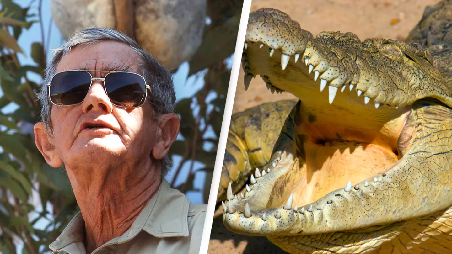 Steve Irwin's dad calls for crocodiles to be protected after animal attacked man and dog