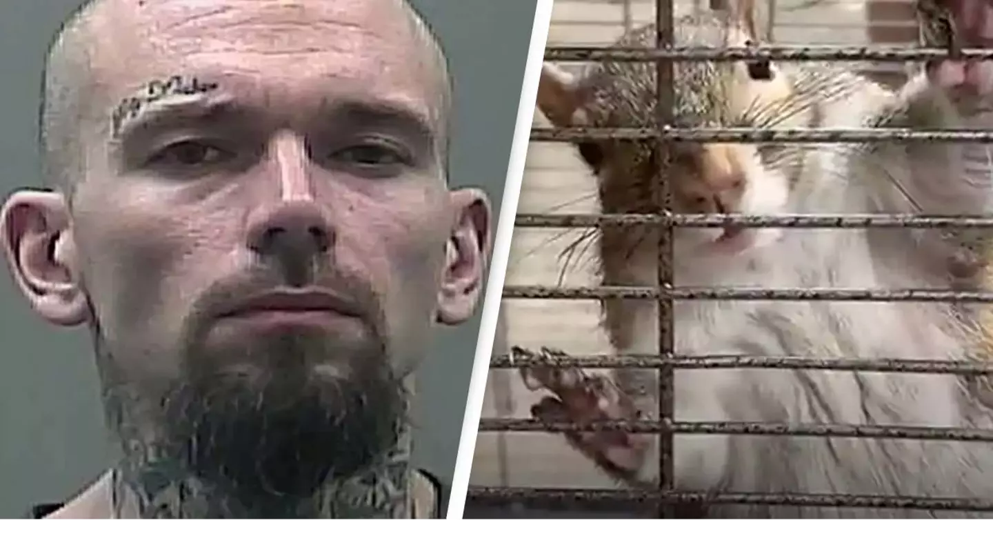 Man Accused Of Feeding Squirrel Named 'Deeznuts' Meth Now Facing New Charges