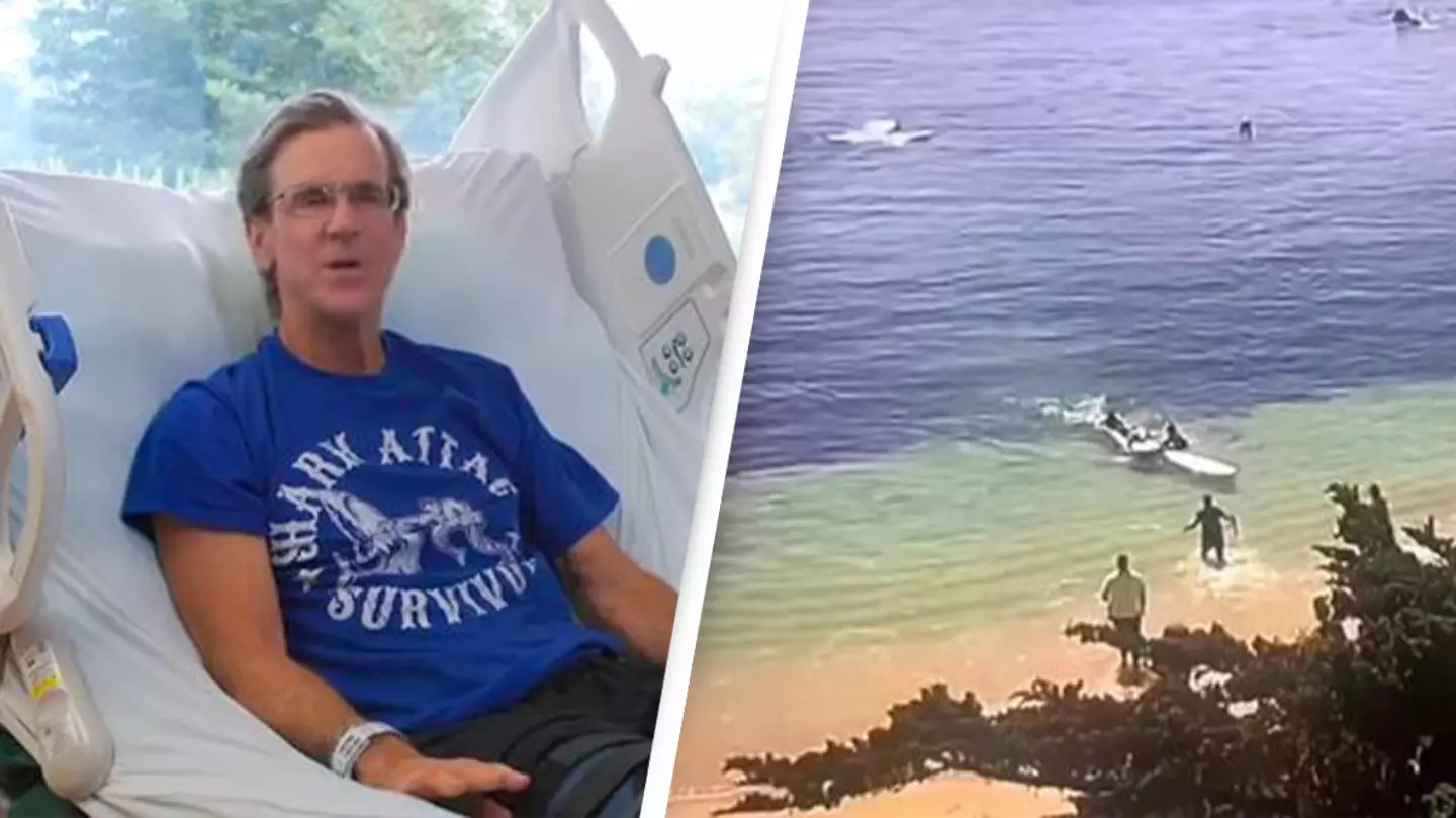 Shark Attack Victim Recalls Moment He Was Bitten By Great White And 'Spat Out'