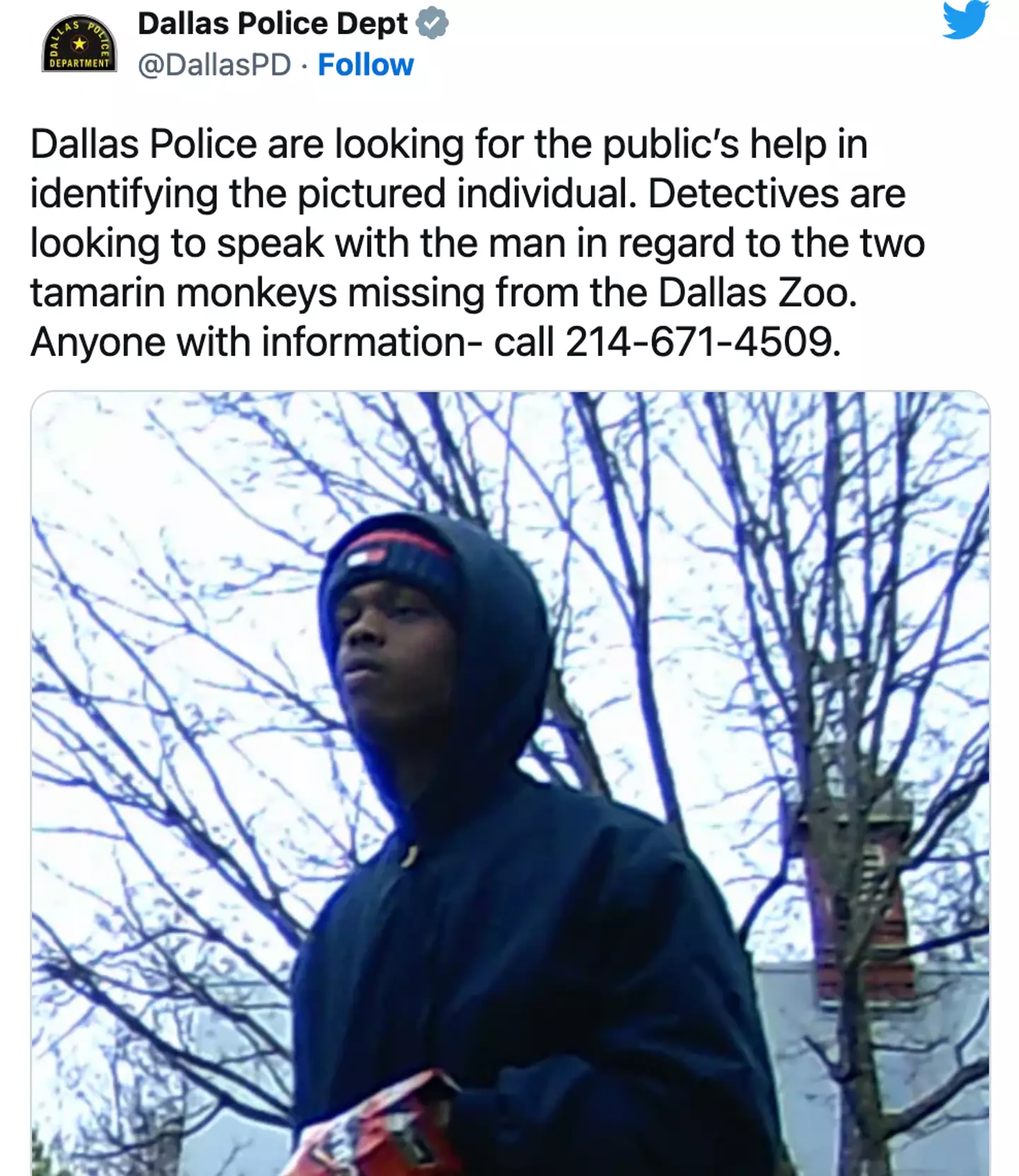 Police are searching for the man seen at the zoo.